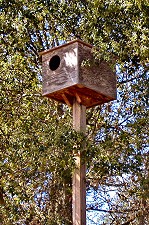Owl Box in The Wolcott Vineyard